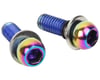 Related: Avid Disc Brake Caliper Mounting Bolts (Rainbow) (Stainless)