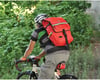 Image 2 for Banjo Brothers Metro Backpack (Red)