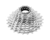 Image 2 for Campagnolo Super Record Wireless Cassette (Matte Silver) (10-25T)