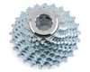 Image 1 for Campagnolo Veloce Cassette (Silver) (10 Speed) (Campagnolo) (12-25T)