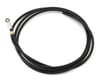 Image 1 for Campagnolo Hydraulic Brake Hose Kit (Black) (2000mm)