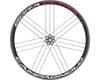 Image 2 for Campagnolo Bora Ultra 35 Wheelset (Bright Label) (700c) (QR x 100/135mm) (Clincher)