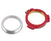 Image 1 for Cane Creek Alloy Preload Collar w/ Ti Bolt (Red) (30mm/28.99mm)