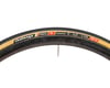 Image 3 for Challenge Pista Clincher Tire (Black/Tan)