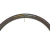 Image 3 for Continental Gator Hardshell Tire (Black) (700c) (23mm)
