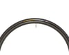 Image 3 for Continental Gator Hardshell Tire (Black) (700c / 622 ISO) (25mm)