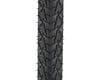 Image 2 for Continental Contact Plus Road Tire (Black/Reflex) (700c / 622 ISO) (42mm)