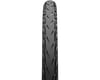 Image 2 for Continental Contact Plus City Tire (Black/Reflex) (26") (1.75")