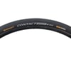 Image 1 for Continental Contact Speed Tire (Black) (700c / 622 ISO) (28mm)
