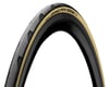 Image 1 for Continental Grand Prix 5000 Road Tire (Black Chili)