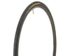 Image 1 for Continental Gatorskin Tire (Black) (Wire) (DuraSkin/PolyX Breaker) (700c) (25mm)