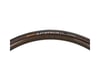 Image 3 for Continental Sprinter Gatorskin Tubular Road Tire (Black) (DuraSkin/SafetySystem Breaker) (700c) (25mm)