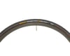 Image 3 for Continental Grand Prix 4-Season Tire (Black) (700c / 622 ISO) (23mm)