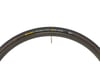 Image 3 for Continental Grand Prix 4-Season Tire (Black) (700c / 622 ISO) (25mm)