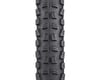 Image 2 for CST BFT C1752 Big Fat Tire (Black) (26" / 559 ISO) (2.4")