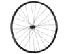 Image 1 for Easton EA90 AX Front Wheel (Black) (12 x 100mm) (700c / 622 ISO)
