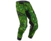 Image 1 for Fly Racing Evolution DST Pants (Green/Black) (28)