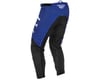 Image 2 for Fly Racing F-16 Pants (Blue/Grey/Black)