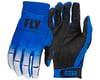 Image 1 for Fly Racing Evolution DST Gloves (Blue/Grey) (XL)