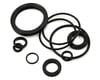 Related: Fox Suspension 34 Float NA2 Air Spring Rebuild Kit