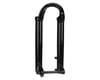 Image 1 for Fox Suspension Lower Leg Assembly (2021 36 29in 130-170, 15x110 QR, F-S PE-S, Shiny Black)