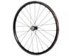 Image 1 for Fulcrum Rapid Red 3 Rear Wheel (Black) (Campagnolo N3W) (12 x 142mm) (700c / 622 ISO)