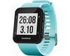 Image 1 for Garmin GPS Running Watch Forerunner 35 (Frost Blue)
