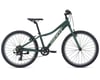 Image 1 for Giant XTC JR 24" Lite Kids Bike (Trekking Green)
