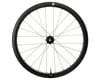 Image 2 for Giant SLR 2 42 Disc Road Wheels (Black) (Front) (12 x 100mm) (700c)