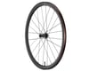 Image 1 for Giant SLR 1 36 Disc Road Wheels (Black) (Front) (12 x 100mm) (700c)