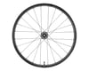 Image 1 for Giant CXR X1 Disc Gravel Wheels (Black) (Front) (12 x 100mm) (700c)