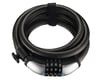 Related: Giant SureLock Flex Combo Coil Cable Lock (15mm x 180cm)