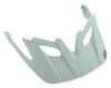 Image 1 for Giro Fixture Replacement Visor (Mint)