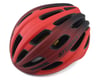 Image 1 for Giro Isode MIPS Helmet (Matte Red/Black)