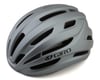 Image 1 for Giro Isode MIPS II Helmet (Matte Titanium/Black) (Universal Adult)