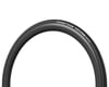 Image 1 for Goodyear Vector 4Seasons Tubeless Road Tire (Black) (700c) (25mm)