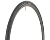 Image 1 for Hutchinson Sector 28 Tubeless Road Tire (Black) (700c / 622 ISO) (28mm)