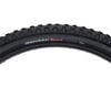 Image 1 for Kenda Nevegal Sport Mountain Tire (Black) (26" / 559 ISO) (2.1")