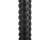 Image 2 for Kenda Nevegal Sport Mountain Tire (Black) (26" / 559 ISO) (2.1")