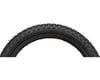 Image 3 for Kenda K50 BMX Tire (Black) (16" / 305 ISO) (1.75")