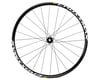 Image 2 for Mavic Crossmax 27.5" Disc Front Wheel (6-Bolt) (15 x 100mm)