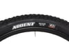 Image 4 for Maxxis Ardent Mountain Tire (Black)