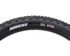 Image 3 for Maxxis Ardent Tubeless Mountain Tire (Black) (Folding) (26") (2.25") (Dual/EXO)