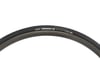 Image 1 for Maxxis Padrone Road Tubeless Tire
