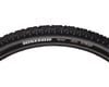 Image 1 for Maxxis Ignitor Tubeless Tire (29 x 2.1) (Folding) (Single Compound)
