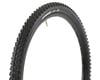 Image 1 for Maxxis Beaver Dual Compound Tire