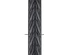 Image 2 for Michelin Protek Tire (Black) (700c) (38mm)