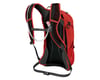 Image 1 for Osprey Syncro 12 Hydration Pack (Firebelly Red)