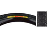 Panaracer Pasela Road Tire (Black) (650b / 584 ISO) (28mm)