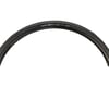 Image 1 for Panaracer T-Serv ProTite Tire (Black) (700c / 622 ISO) (25mm)